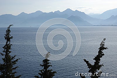 Mediterranean landscape with calm sea and mountains silhouettes in light light haze on skyline with cypresses on front Stock Photo