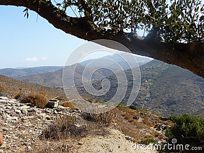 Mediterranean maquis inland Amorgos in Greece. Stock Photo