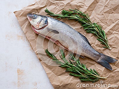 One fresh seabass fish with rosemary on craft paper on white background, top view with copy space. Mediterranean seafood concept Stock Photo