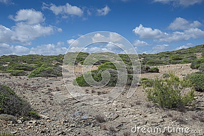 Mediterranean shrublands in Cape of Favaritx Stock Photo