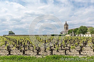 Medoc, France. Vineyards and church of the village Margaux Stock Photo