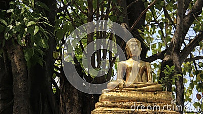 Local Art. Golden Buddha With Bodhi Leaves And Tree Stock Photo