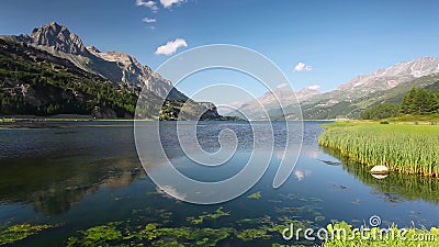 Meer Sils Meer Sils