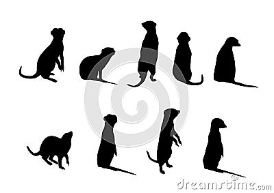 Meerkat silhouettes Stock Photo