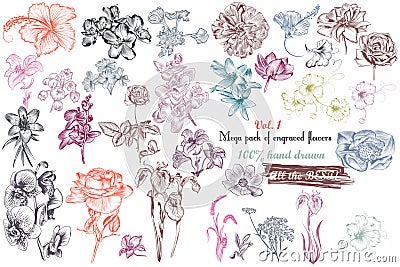 Mega collection of high detailed vector flowers for design Stock Photo