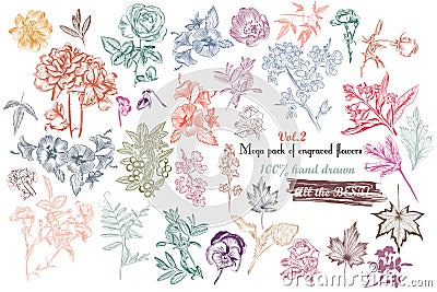 Mega collection of high detailed vector flowers for design Stock Photo