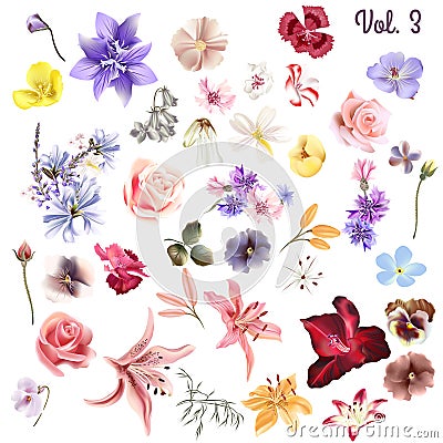 Mega collection of high detailed vector flowers for design Stock Photo