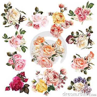 Mega collection of high detailed vector flowers for design Stock Photo
