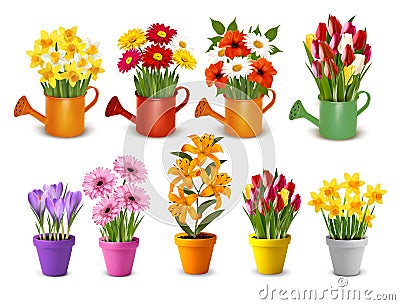 Mega collection of spring and summer colorful flowers in pots Stock Photo