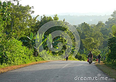 MEGA, ETHIOPIA - NOVEMBER 25, 2008: Equatorial jungle. Road closeup jungle around. Editorial Stock Photo