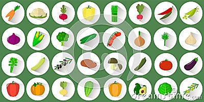 Mega icon set of various vegetables and herbs in a white circle with a shadow on a green background. Logo, vegetables Vector Illustration