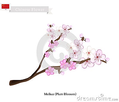 Meihua or Plum Blossom, A Popular Flower in China Vector Illustration