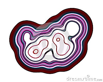 Meiosis In Telophase Stage. The Process Of Cell Division And Production Of The Reproductive Cells Stock Photo