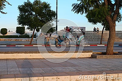 Meknes Boulevard on which a beautiful carriage rides, with a horse drawn Editorial Stock Photo