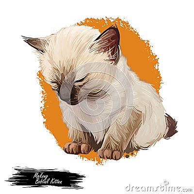 Mekong bobtail kitten digital art illustration. Sleeping catty watercolor portrait. Cute face of furry catty from South Cartoon Illustration