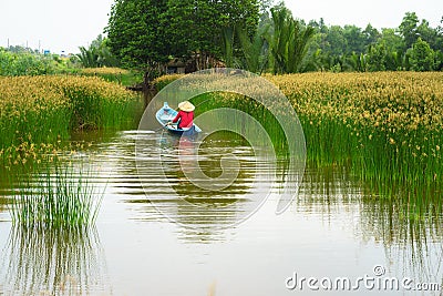 Mekong delta landscape with Vietnamese woman rowing boat on Nang - type of rush tree field, South Vietnam Stock Photo