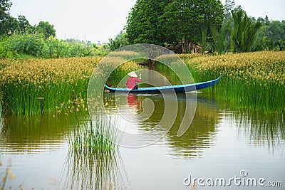 Mekong delta landscape with Vietnamese woman rowing boat on Nang - type of rush tree field, South Vietnam Stock Photo