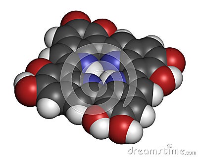 Melanin (eumelanin), proposed oligomeric structure model. Primary determinant of skin color. 3D rendering. Atoms are represented Stock Photo