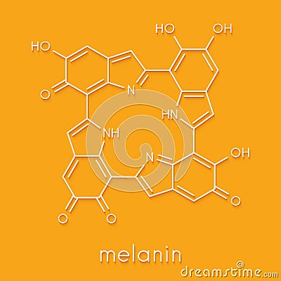 Melanin eumelanin, proposed oligomeric structure model. Primary determinant of skin color. Skeletal formula. Stock Photo