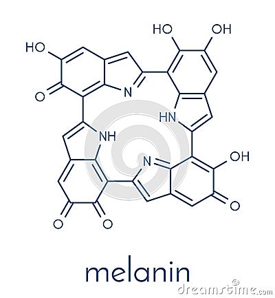 Melanin eumelanin, proposed oligomeric structure model. Primary determinant of skin color. Skeletal formula. Vector Illustration
