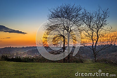 Melide, Spain - Trees at Sunset View on the Outskirts of Melide, Spain, along the Way of St James Camino de Santigo Stock Photo