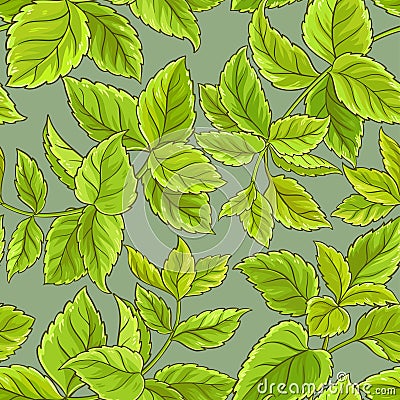 Melissa vector pattern Vector Illustration