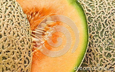 Melon Stock Photo