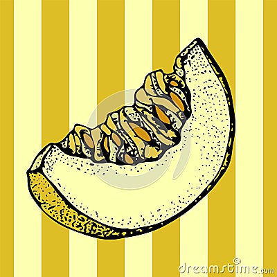 Melon vector seamless pattern. Hand drawn objects with sliced piece of melon on a striped background. Summer Fruit doodle style Vector Illustration