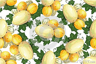 Melon vector. Summer fruits. Seamless pattern with melon Vector Illustration