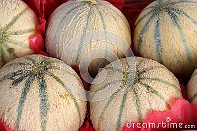 Melons Stock Photo