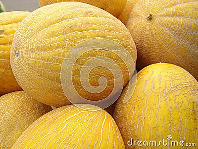 Melons Stock Photo