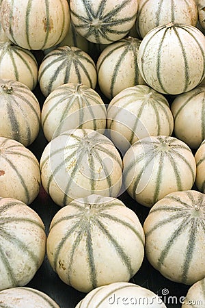 Melons at the farmer's market Stock Photo