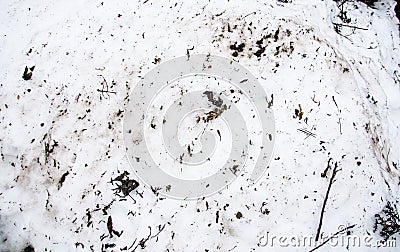 Melted snow on a field. Dirt and snow. Sand and Snow. background. Ground texture with branch and twig in sping. Stock Photo