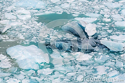 Melting Iceberg Stock Photo