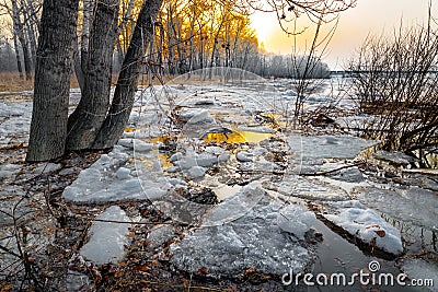 Melting snow Stock Photo