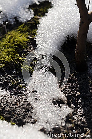 Melting snow Stock Photo