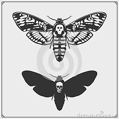 Memento mori. Butterfly and skull. Brevity of human life. Print design for t-shirt. Vector Illustration