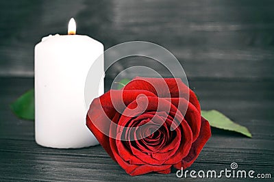 Memorial candle and rose Stock Photo