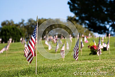 Memorial Day Stock Photo