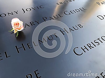 9-11 memorial and rose Editorial Stock Photo