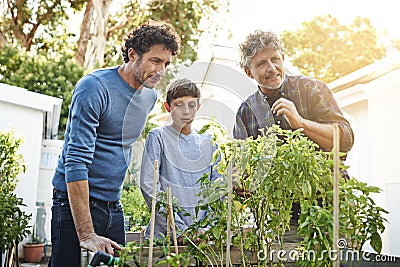 Men with boy working in garden in backyard with generations, grandfather with father and kid with plants. Sustainability Stock Photo