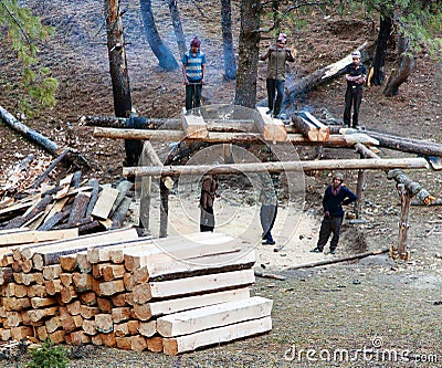 Men cutting timber by primitive method in western Nepal Editorial Stock Photo