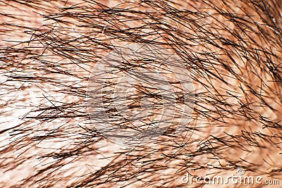 Men hair close. head hair macro. Stock Photo