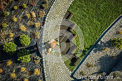 Men Installing Natural Grass Stock Photo