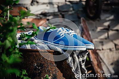 Men's blue loafers, masculine style Stock Photo