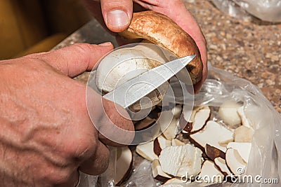 Men& x27;s hands knife clean edible forest mushroom Stock Photo