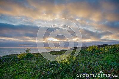 Mendocino Headlands Spring Sunset Stock Photo