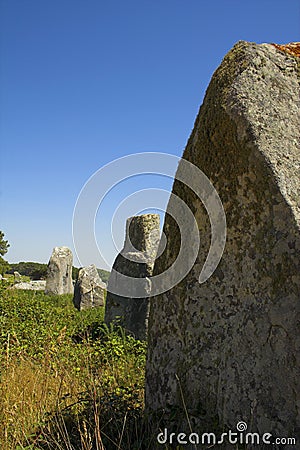 Menhir in Carnac-Brittany Stock Photo