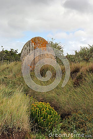 Menhir of Run ar Gam near Trebeurden in Bretagne Stock Photo