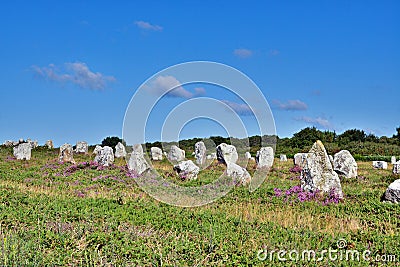 Menhirs alignment. Carnac, Brittany. France Stock Photo